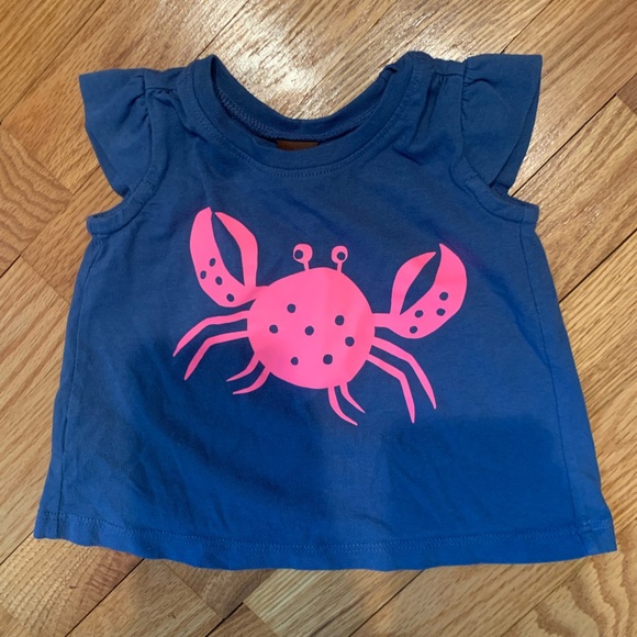 Tea Collection Bundle - Picture 4 of 9